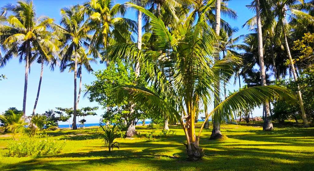 SomeWhere Else Boutique Resort Mambajao Extérieur photo